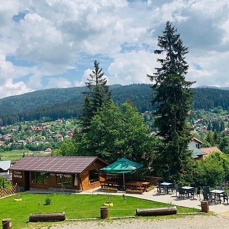 Casa Belcin Spa&Retreat Buşteni エクステリア 写真