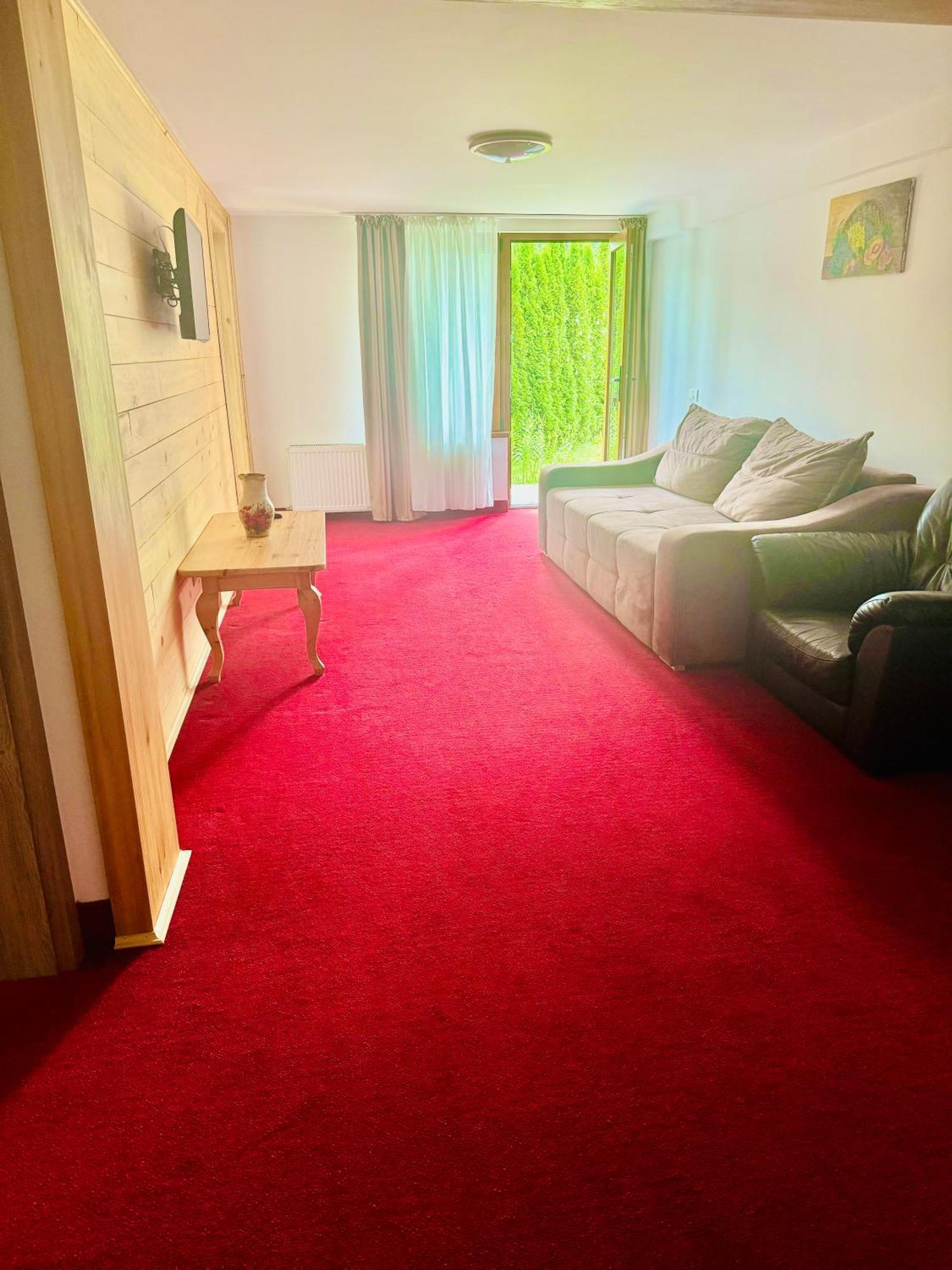 Casa Belcin Spa&Retreat Buşteni エクステリア 写真