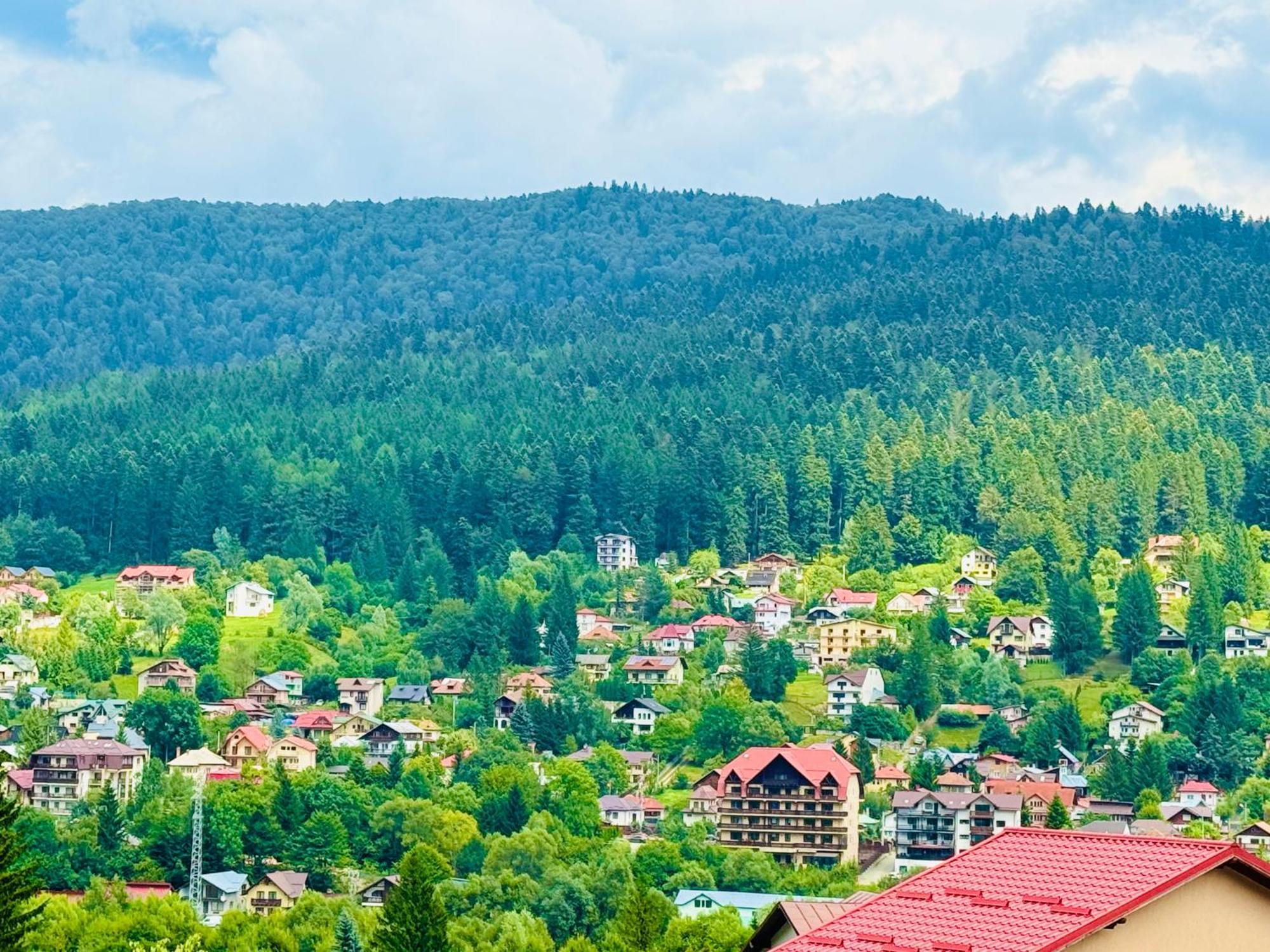 Casa Belcin Spa&Retreat Buşteni エクステリア 写真