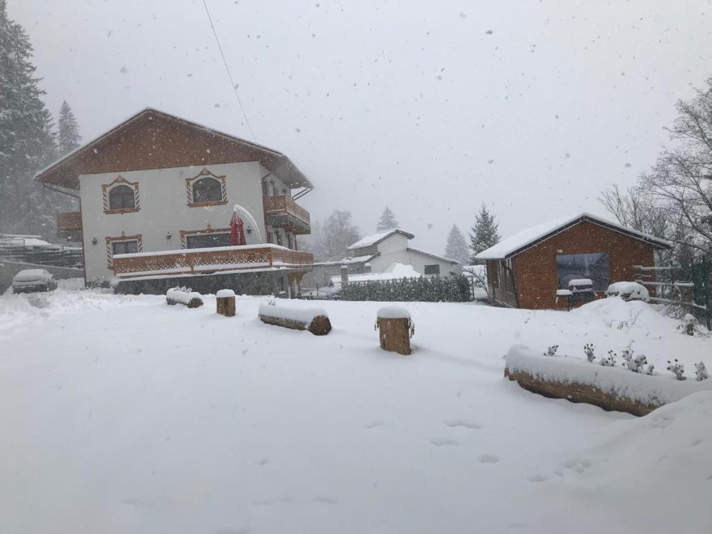Casa Belcin Spa&Retreat Buşteni エクステリア 写真