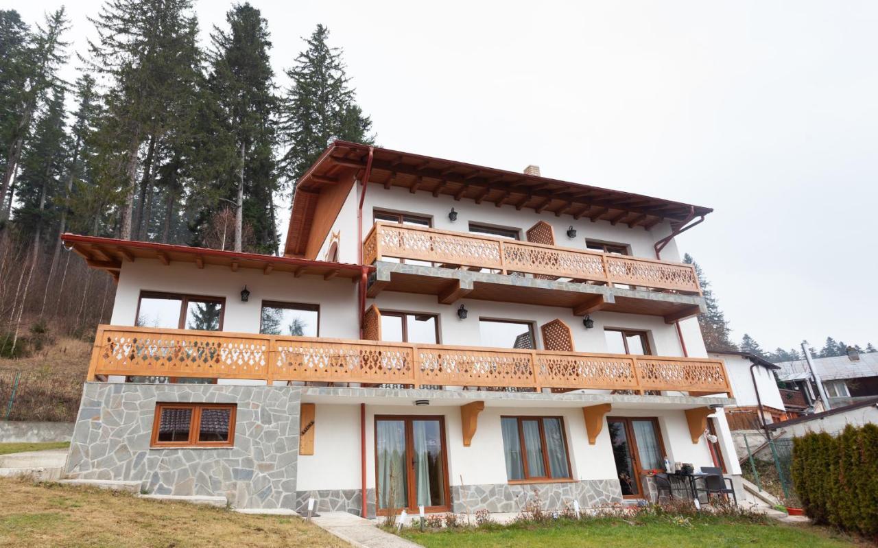 Casa Belcin Spa&Retreat Buşteni エクステリア 写真